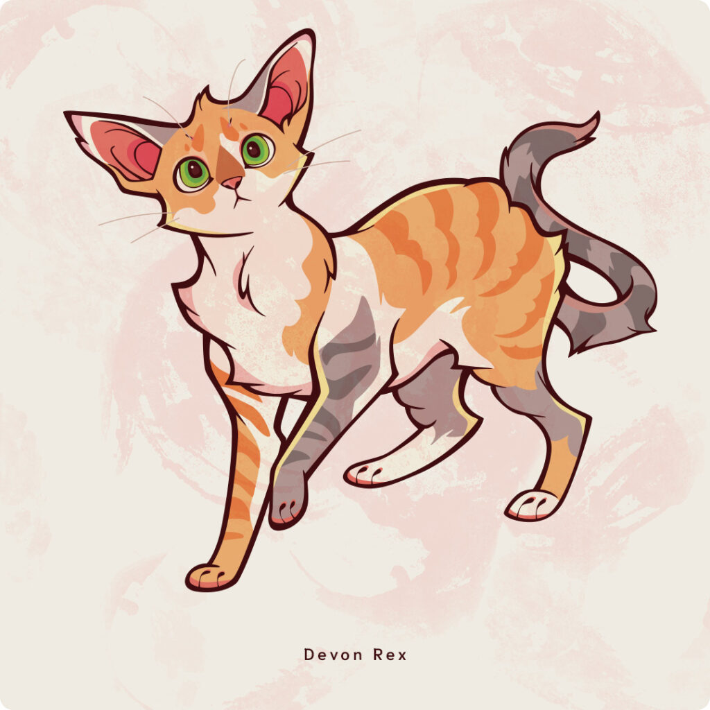 DevonRex