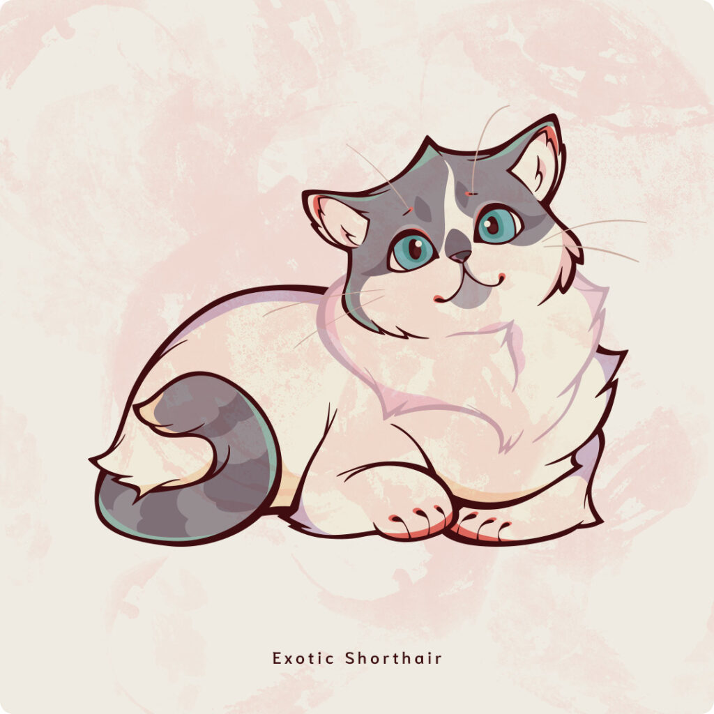 ExoticShorthair
