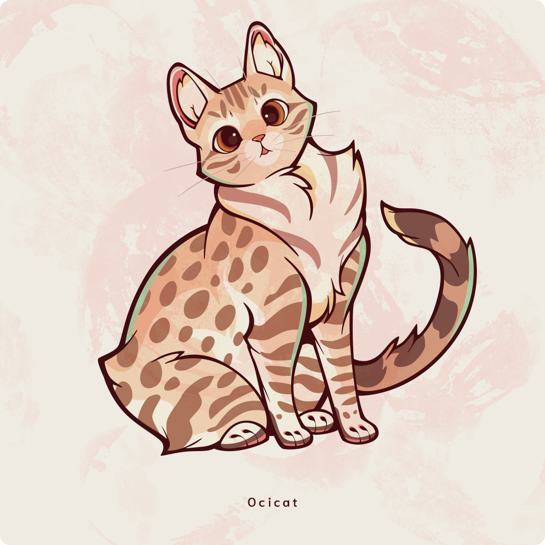 Ocicat