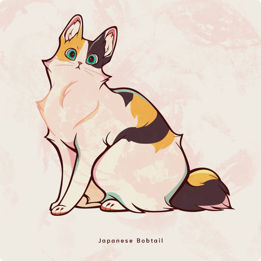 JapaneseBobtail