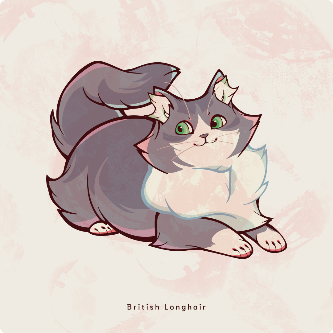 BritishLonghair