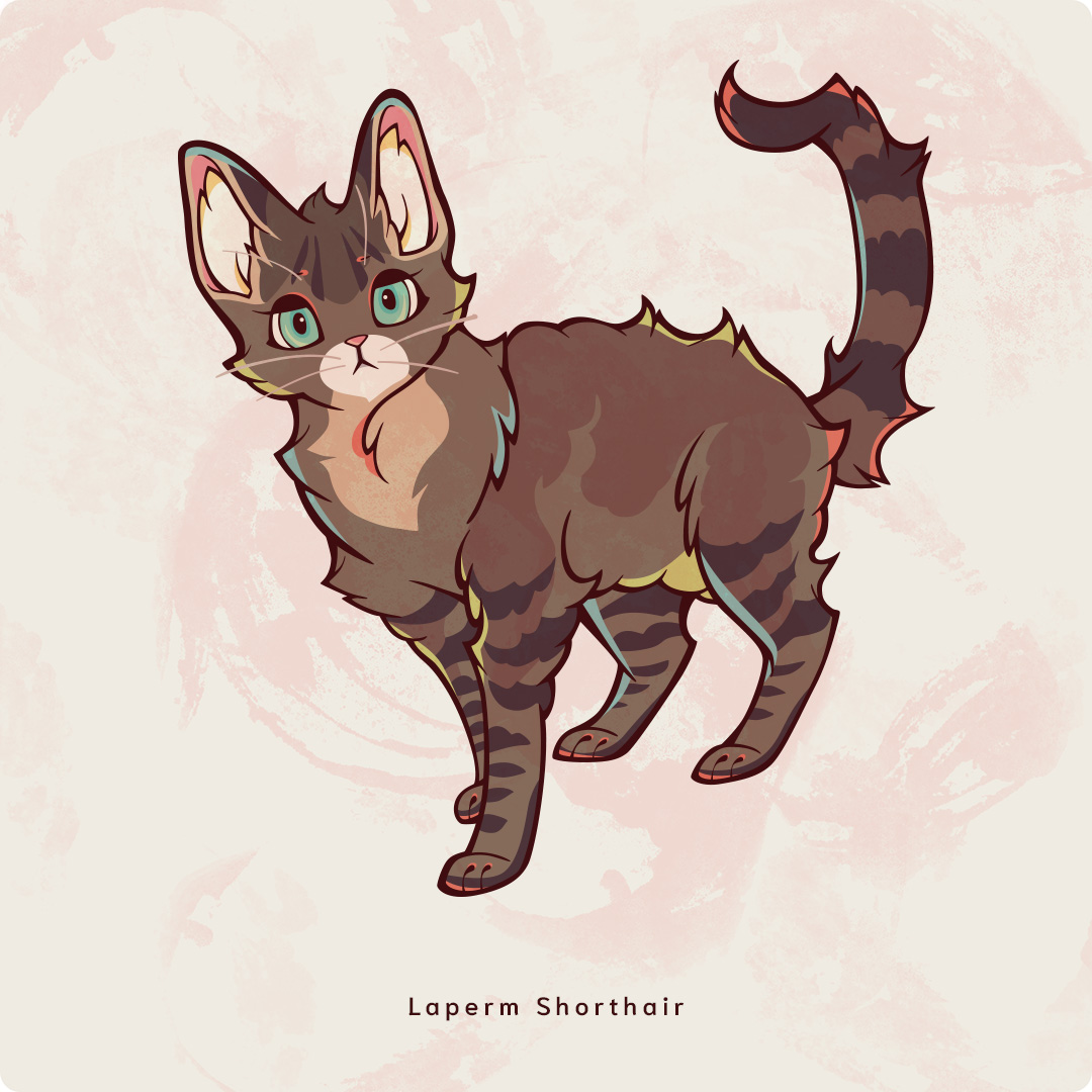 LapermShorthair