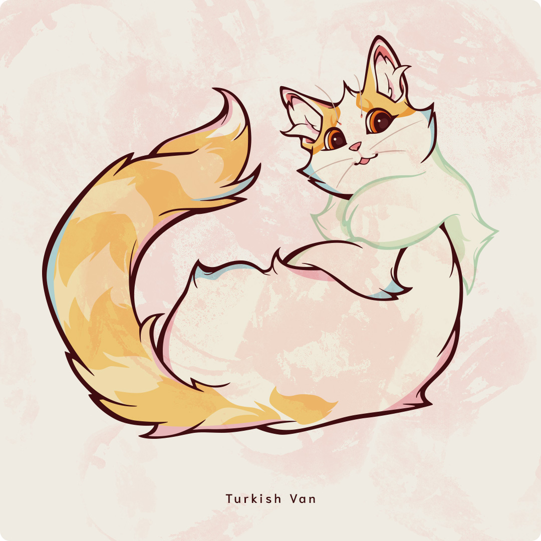 TurkishVan