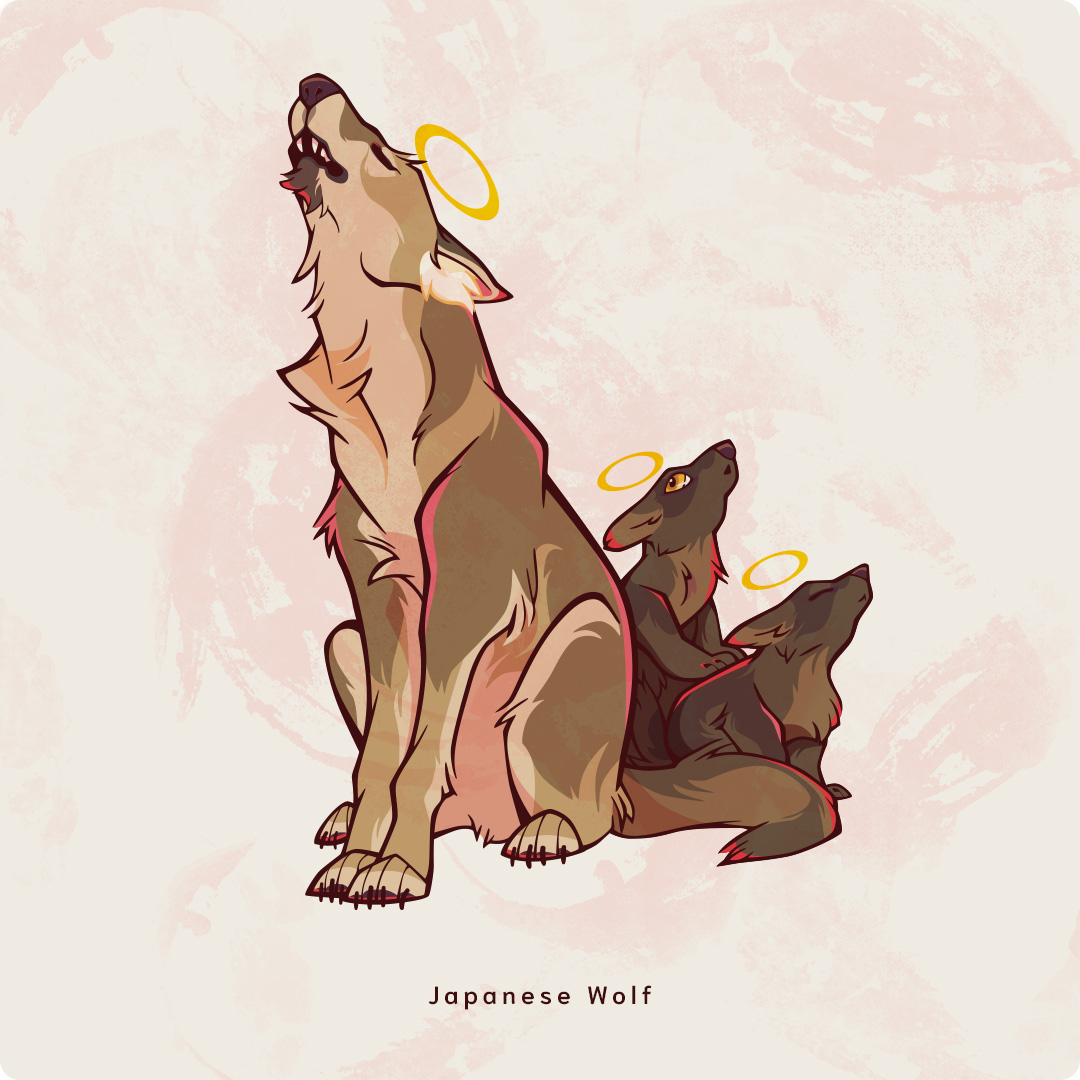 Japanese Wolf